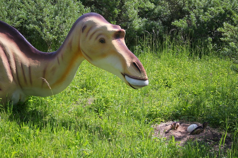 Killikus® Fotographie Killikus® Fotographie